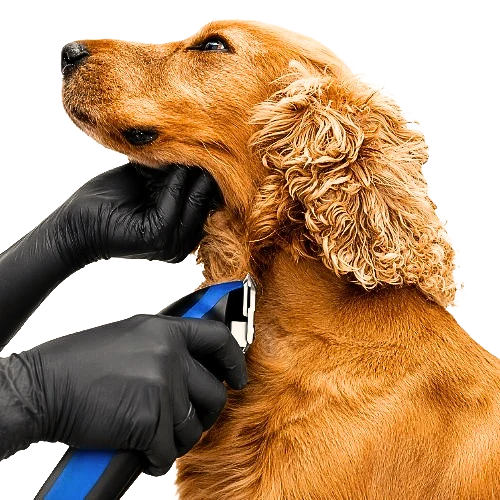 Inspección de cuchilla desalineada o con desgaste